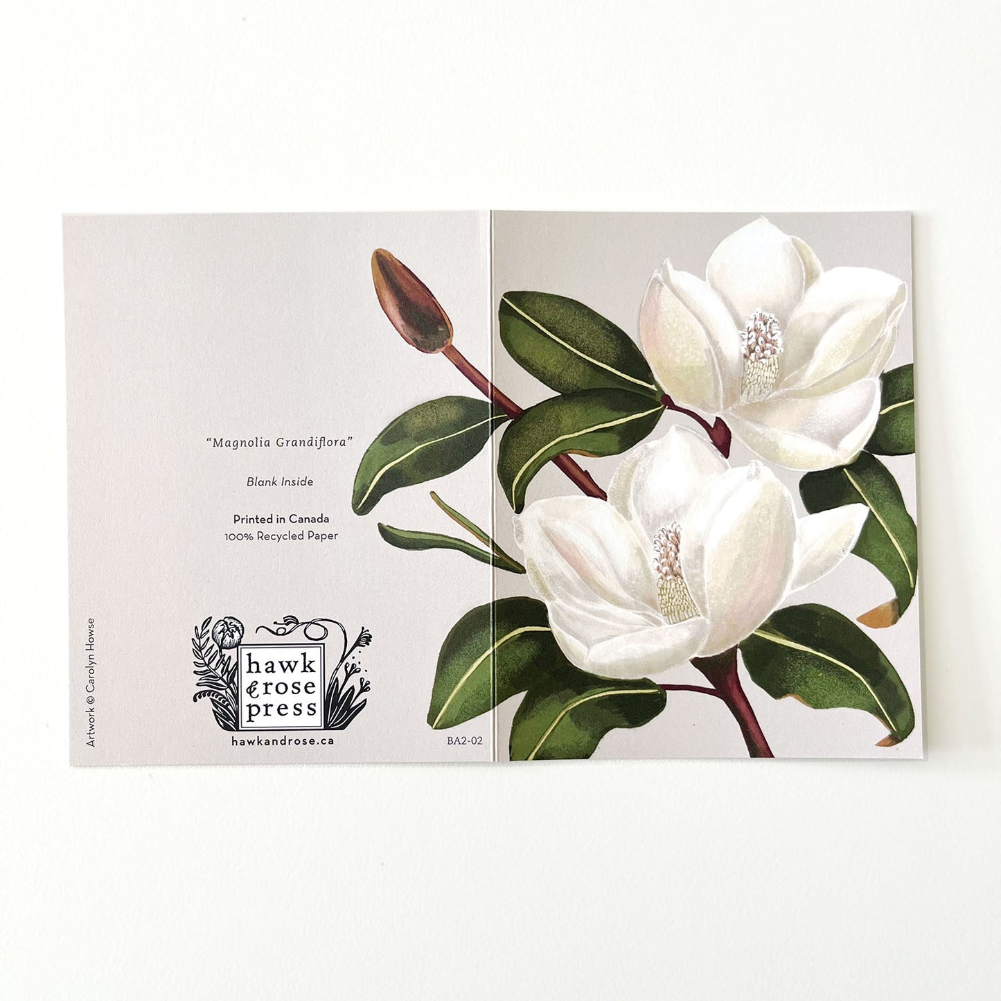 Botanical Expressions Series ‘Magnolia Grandiflora’ Card by Hawk and Rose Press
