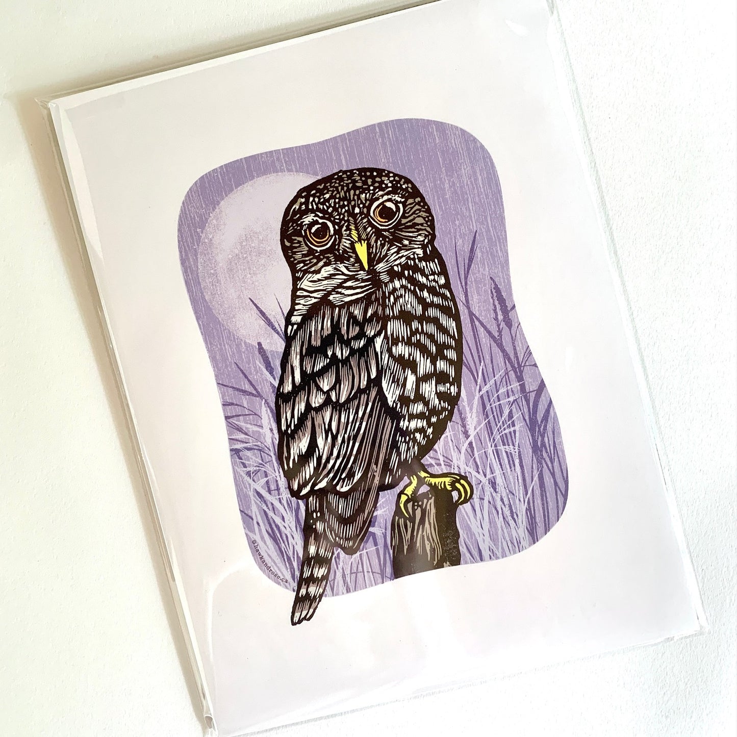 The Night Owl Reproduction Print