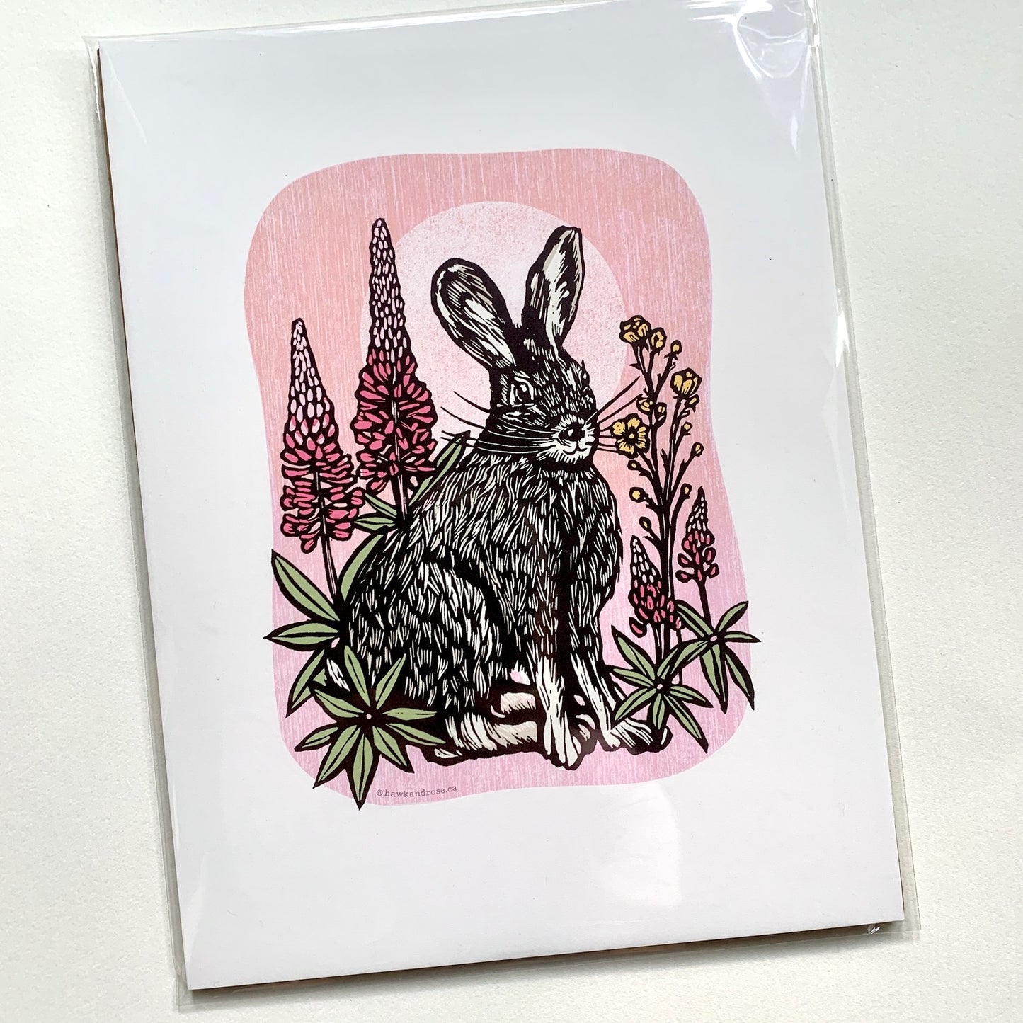 Hare & Lupins Reproduction Print