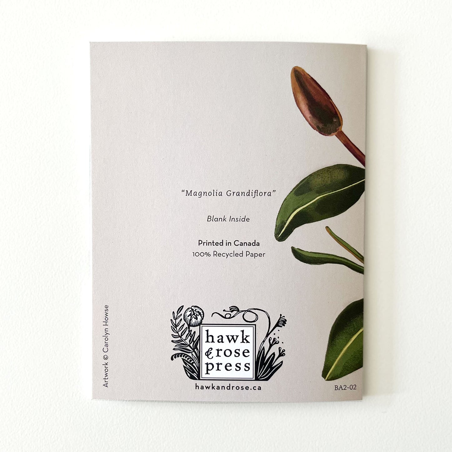 Botanical Expressions Series ‘Magnolia Grandiflora’ Card by Hawk and Rose Press
