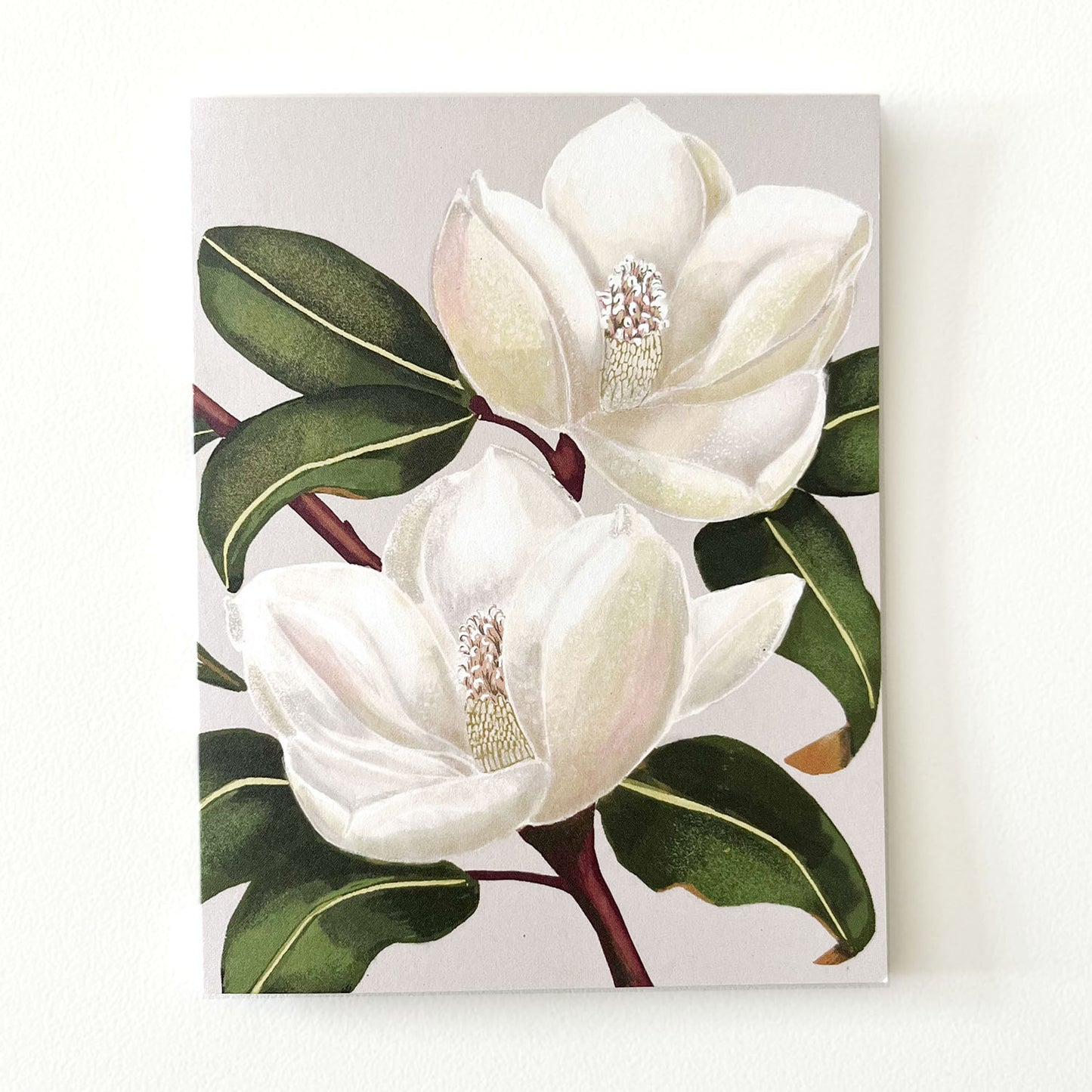 Botanical Expressions Series ‘Magnolia Grandiflora’ Card by Hawk and Rose Press