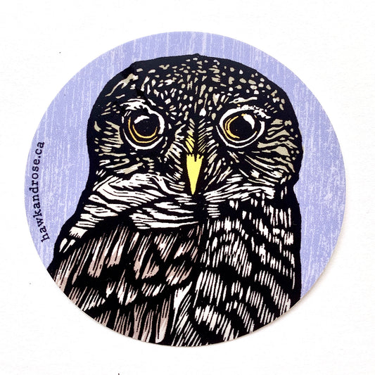 Owl Vinyl 3" Circle Sticker