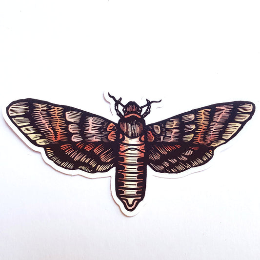 Hawkmoth Vinyl Sticker